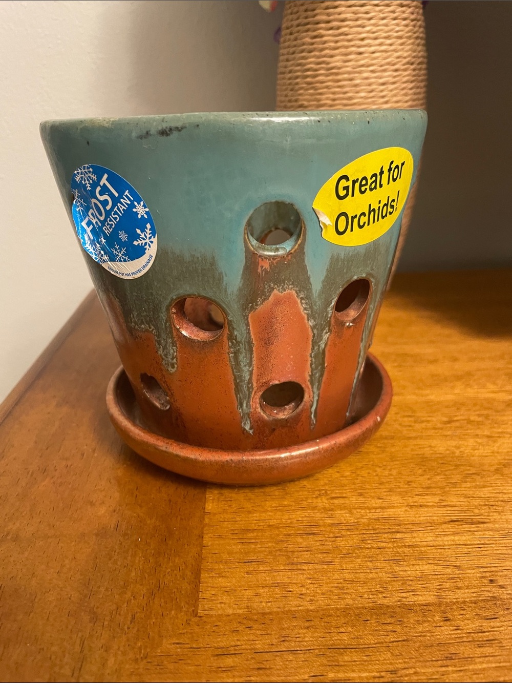 Allen + Roth Ceramic Planter Pot for Orchids or Succulents with Drainage Holes